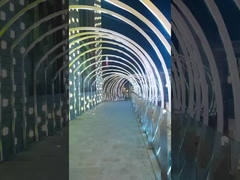 IP68 Neon Flex sous-marin 24V Matériaux TPU Ligne LED flexible pour l'utilisation dans les piscines