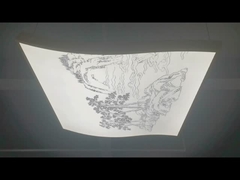 lumière linéaire à LED pour taille spéciale