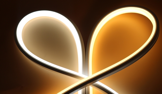 Hôtel Neon Flex Led 24V Ip67 1212mm Led Neon Rope 10m Neon Strip lumière